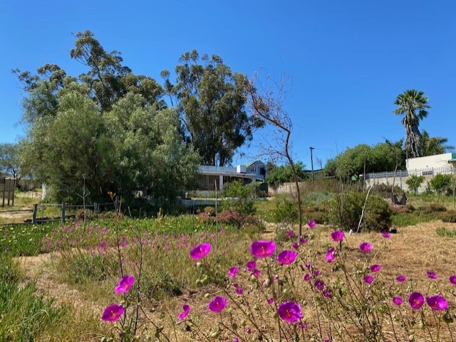 3 Bedroom Property for Sale in Hopefield Western Cape